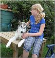 Hunde 010